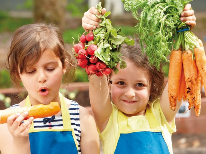 Gemüsebeete EDEKA Stiftung